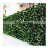 Garden Decoration Fence Plastic Outdoor Fence Artificial Boxwood Hedges thumbnail-4