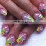 Attractive Nail Art Printing Machine With pc in India thumbnail-1