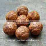 Buddha Chitta 14 Beads Bodhi Seed Genuine Indonesian Phoenix Eye Mala Phrengba thumbnail-6