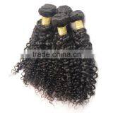 Fast Delivery Online Shop 100% Unprocessed Wholesale Tangle Free No Shedding Curly Raw Virgin Indian Hair thumbnail-5