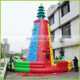 Inflatable Ladder Climb