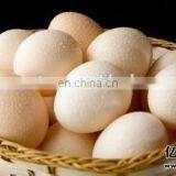 High Quality Egg Cleaning Machine,egg Washing Machine thumbnail-6