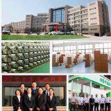 Zhejiang Qianxilong Special Fibre Company company overview - view 1 thumbnail