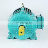 China Made Y2 Series AC Electric Motors 3 Phase 55 kw Electric Motor 2 4 6 Pole thumbnail-5