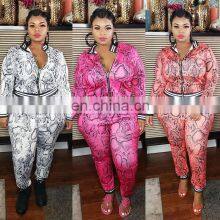 YF1217 Hot Sell Multi Color Women 2 Piece Set Clothing Autumn Two Piece Outfit Women Fall Zipper Coat Plus Size Two Piece Set thumbnail-2