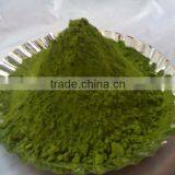 Moringa Leaves Powder From Tamilnadu thumbnail-1