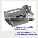 Cherry Grading Machine / Cherry/tomato Grading Machine thumbnail-4