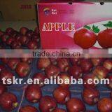Fruit Pricessummer Green Apple Red Apple thumbnail-1