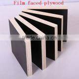 Film Faced Plywood, Black Film Faced Plywood thumbnail-4