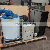 Small Size Flaking Ice Machine for Frozen Seafood