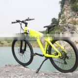 2015 gold sale mountain electric bike with electric bicycle rainbow parts