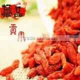 ISO 9001 Goji Berry thumbnail-4