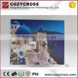 Infrared Panel Heater Wall/ceiling Mounted Electric Room Heaters thumbnail-1