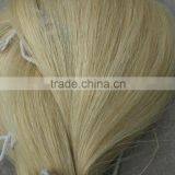 Natural Horse Tail Hair thumbnail-1
