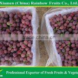 Chinese Fresh Delicious Red Table Globe Grape Wine Grapes thumbnail-4