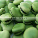 New Corp Natural Dry Broad Beans