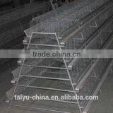 Poultry Farming Cages in Kenya thumbnail-3