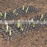 Animal Fence Wall Spikes Cat Repellent , Cat Deterrent ,Prickle Strips