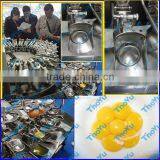 Stainless Egg Beating Machine on Bakery Exhibition +86-133-3371-9169 thumbnail-1