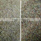 High Capacity Dal Optical Color Sorter in Agriculture thumbnail-5