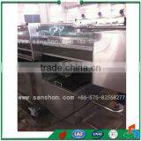 China Shallot,Spring Onion,Chives Washing Machine,Vegetable Washing Machine thumbnail-2