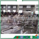 QXJ Industrial Bubble Washer Chives Washing Machine thumbnail-2