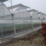 Aquaponic Tomato Greenhouse For Sale thumbnail-5
