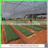 Plastic Film Commercial Greenhouse for Tomatoes With Arched Type thumbnail-3