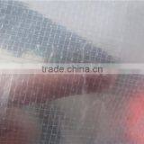 Environment Transparent pe Tarpaulin, Greenhouse Covering Tarpaulin, Low Price PE Tarpaulin thumbnail-3