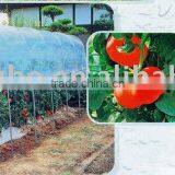 Green House thumbnail-1