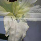 Hot Sale Brand Name Decorative Artificial Two Flowers Two Buds Lily thumbnail-3