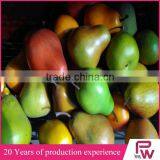 Harvest Festival Decorations Artificial Foam Fruits and Vegetables for Event Decor thumbnail-5
