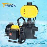 TP03053 600W Gaden Jet Pump With Pressure Controller thumbnail-1