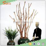 Leafless Tree Branches Tree Branches Without Leaves Tree Branches for Centerpieces thumbnail-1