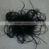 Curly Ostrich Flower thumbnail-1