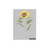 Single Sunflower thumbnail-1