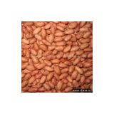 Sell Groundnut Kernel (Large Size)