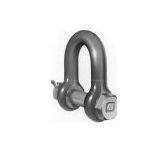 U.S Forged Dee Shackle thumbnail-1