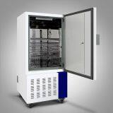 Constant Climate Chamber WS,Specially Used for Laboratory Fungi and Other Eukaryotic Microorganisms thumbnail-2