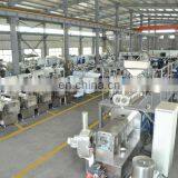 Nutritional Artifical Rice Processing Line thumbnail-6