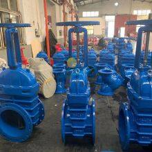 DN400 Big Size BS DIN OS&Y Rubber Seat Rising Stem Gate Valve thumbnail-2