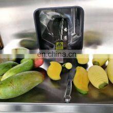 Orange Peeler/Canned Mandarin Orange Peeling Machine thumbnail-4