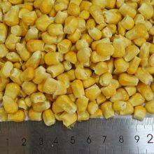 Factory's Hot Selling Freeze Dried Sweet Corn thumbnail-3