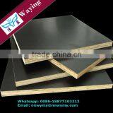 Green Plastic Faced Plywood thumbnail-2