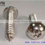 Different head style and slotted stainless steel screw