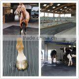 Trade Assurance Safety Cow Stable Mat, Stall Floor Mat thumbnail-5