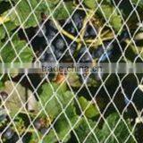 Protection Bird Netting