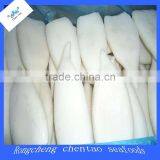 Frozen Seafood Squid Tube