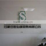 Shijiazhuang Shenghongyuan Trading Co., Ltd. company overview - view 2 thumbnail