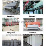 DONGYUE Customization Environmental AAC Brick Production Line